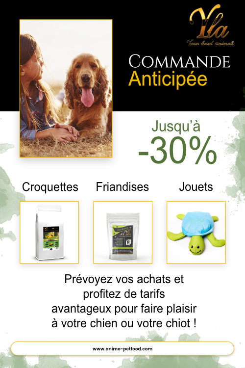 offres-speciales-croquettes-friandises-jouets-pour-chien-et-chiot